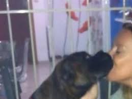 Όπως εξομολογήθηκε κατά τη διάρκεια της εκπομπής της «καλύτερα δε γίνεται» το. H Natalia Germanoy Filaei Adespoto Skylo Sto Stoma Newsnowgr Com