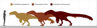 All 30 Official Dinos Ranked Slowest To Fastest! - Path Of Titans - Youtube