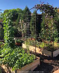 Gardener S Supply Company On Instagram We Re Not Going To Be Seeing Our Gardens For A While So We Cedar Raised Garden Raised Garden Cedar Raised Garden Beds