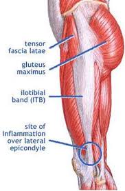 The muscles of the leg are important for. Are It Band Problems Holding You Back From Running We Can Help Pro Therapy