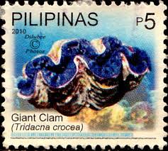 Philippines Giant Clam Tridacna Crocea Marine Biodiversity Issued 2010 June 15 Php 5 Ldb Giant Clam Stamp Collecting Postage Stamps
