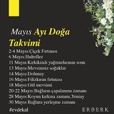 Esra erol 4 mayıs yayını hızla devam ediyor! Facebook