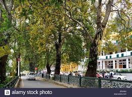 Chinar Trees Mall Road Govind Ballabh Pant Marg Nainital Stock Photo Alamy Check out tripadvisor members' 1,908 candid photos and videos of landmarks, hotels, and attractions in uttarakhand. chinar trees mall road govind
