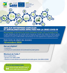 De mission pour l'appui à la mise en oeuvre du plan france relance et du programme national de l'alimentation en guadeloupe. Https Www Europe Guadeloupe Fr Actualites 263 Aidefeadercovid