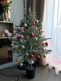 Ikea is launching its first christmas ad, encouraging britons to defy 'home shame' and open up their this isn't helped when ornaments and objects from around the home come to life to taunt them about. Ikea Christmas Tree Furniture Home Decor Others On Carousell