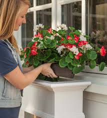 There is a water well in planter boxes: Everlasting Faux Red And White Geranium Window Box Filler Plowhearth