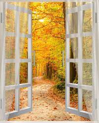 ورق جدران طباعة حسب الطلب backdrops backgrounds photography backdrops photography backdrop