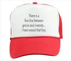 Trucker Hat Cap Foam Mesh There Is Fine Line Between Genuis Insanity You  Erased | eBay