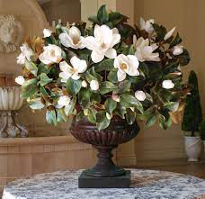 La magnolia grandiflora albero sempreverde originario dell'america, alto fino a 10 m, con fiori bianchi molto grandi e profumatissimi. Magnolia In Palladin Urn Winward Home Fine Permanent Botanicals