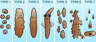 The bristol stool scale is a diagnostic medical tool designed to classify the form of human faeces into seven categories. Echelle De Bristol Photos Facebook