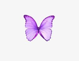 Dream Purple Butterfly Png Clipart Animal Butterfly Butterfly Clipart Butterfly Clipart Dream Free Png Download Butterfly Clip Art Purple Butterfly Png
