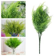 Asparagus fern is a fern in name and appearance only. Hot Sale Artificial Plastic Green Plants 7 Stems Artificial Asparagus Fern Grass Plant Flower Garden For Home Wedding Decoration Buy At The Price Of 0 66 In Aliexpress Com Imall Com