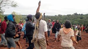 Poverty reduction and other policies, paraguay has seen an extraordinary growth in. Aktion Paraguay Das Land Gehort Den Ava Guarani Rettet Den Regenwald E V