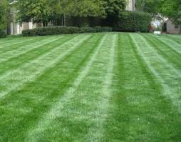 Porch services can do lots of work for you directly. Lawn Mowing Service Near Your Area Alexas Enterprise