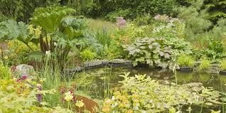 Remove any sharp stones from the bottom of the hole. 10 Things You Need To Know Before You Create A Wildlife Pond