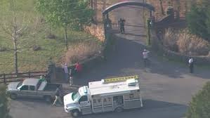 Phillip adams, a former nfl cornerback who played six seasons in the league with six different teams, has reportedly been identified as the gunman who killed five people in. Gig Xwfrwfuzbm