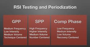 The Scandinavian Rebound Jump Test Why Every Athlete Should