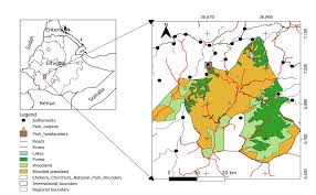 Image result for Vernonia ischnophylla