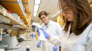 Discover top universities, new courses and the latest careers guidance. Ucsf Immunology Neuroscience Research Highly Ranked Among Us News Best Global Universities Uc San Francisco