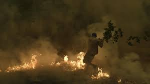 Protéjase del humo de los incendios forestales. Los Incendios Forestales En Grecia Causan Danos Naturales Irreparables