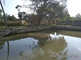 Vila Penghilang Stress Sambil Usaha Perikanan Kolam Ikan Vila Pemandangan