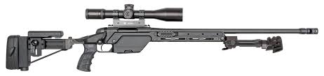 When playing a video game, every player wants to look and feel unique and stand out from the crowd, different games allow players to do this in different ways. Ssg 08 Steyr Arms