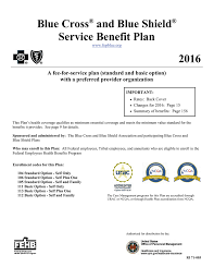 Some key terms are also defined below the graphic. 2016 Blue Cross And Blue Shield Service Benefit Plan