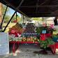 Minot Farmers Market event image