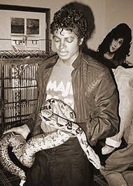 Michael joseph jackson was born on august 29, 1958, at st mary's mercy hospital in gary, indiana to a family of jehovah's witnesses. Bildergebnis Fur Casa Di Michael Jackson A Encino Michael Jackson Thriller Michael Jackson Bad Michael Jackson