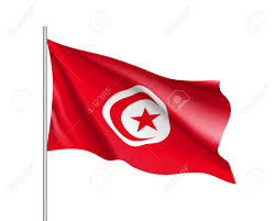 Image result for Tunisia waving flag