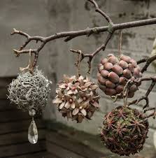 Basteln Mit Bucheckern Deko Kugeln Zum Aufhangen Weihnachtsdekoration Weihnachten Dekoration Basteln Weihnachten