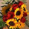 You can't beat a beautiful combination of sunflowers and roses to celebrate the summer. Https Encrypted Tbn0 Gstatic Com Images Q Tbn And9gctwhuqxlubpbsenx7l85cv6gov0gwqnw0vzs4mva C7sxesi5so Usqp Cau