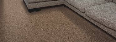 Bc floors® provides you with top shaw carpet brands, mohawk, kraus carpet stores in vancouver. Angora By Shaw Palmetto Flooring Gallery
