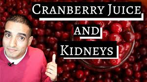 cranberry juice and kidneys your