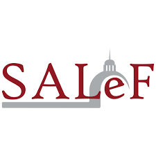 Il centro salef, attraverso un approccio sistemico, rivolge il suo lavoro all'interno di organizzazioni pubbliche e private, al Dr Fabio Milani Centro Salef 2020 Salef