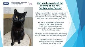 Our animal rescue and rehoming centres remain closed to the public. Help Us Run Our New Cat And Kitten Rehoming Centre Chuffed Non Profit Charity And Social Enterprise Fundraising