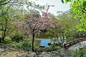 25 entspannende buddhistische musik zur meditation. Setagayapark Japanischer Garten In Dobling