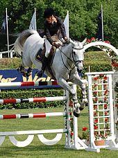 We did not find results for: Luciana Diniz Wikipedia