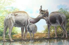 Prehistoric Land Walrus Google Search Animales Prehistoricos Stuffed Animals Animales