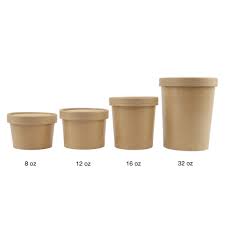 Ice Cream To Go Containers And Lids Pint 16 Oz Frozen Dessert Supplies