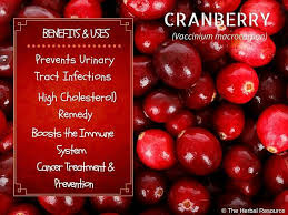 Cranberry Health Benefits And Side Effects Cranberry Benefits Cranberry Health Benefits Herbs For Health