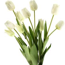 Check spelling or type a new query. Fiveseasonstuff 10 Stems Of White Soft And Long Stem Real Touch Tuli