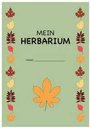 Stellen sie auf jeden fall natürlich, dass die einladung klar ist. Deckblatt Herbarium 3 Deckblatt Vorlage Deckblatt Schule Deckblatt