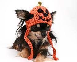 Dog Hat Crochet Pumpkin Jack O Lantern Beanie By Petitdogapparel Crochet Dog Hat Dog Hat Crochet Hats