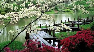 3 Hours Of Relaxing Music Zen Garden Sleep Music For Spa Meditation Therapy Http Pos Japanese Garden Missouri Botanical Garden Japanese Garden Design