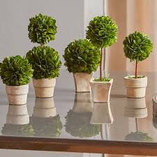 Only a small fraction of these people will actually end up setting foot into it. Mini Topiary Set Wayfair