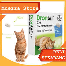 Namun pastinya keduanya memiliki ciri khusus. Drontal Obat Cacing Kucing Makanan Kucing Murah Harga Makanan Kucing Anggora Persia Shopee Indonesia