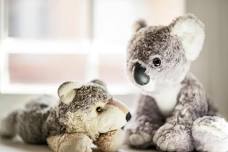Stuffed Animal Sleepover
