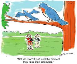 Birds Think Cartoon Funny Cartoon Cartoon Animals