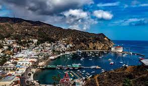 The two main areas to catch the catalina express are dana point and long beach. A Perfect Catalina Island Day Trip The Ultimate Guide